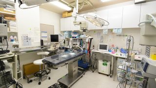 小動物外科手術 上 動画で学ぶ！小動物外科手術 第10回 | SAC NAVI｜共立製薬